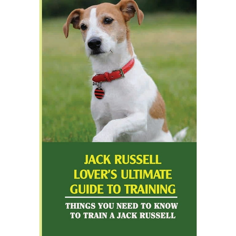 Jack russell training sales