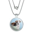 thumbnail image 1 of Jack Russell Terrier Puppies Dogs Gift Box 1" Pendant with Sterling Silver Plated Chain, 1 of 4