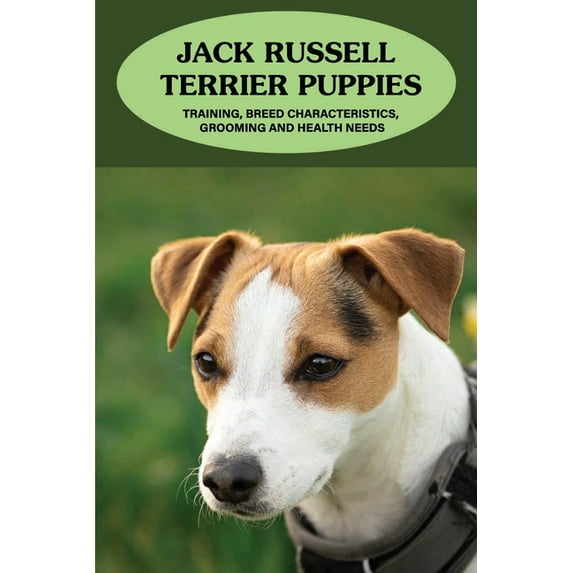 Jack Russell Terrier Puppies: Training, Breed Characteristics, Grooming And Health Needs: Jack Russell Terriers For Dummies (Paperback)
