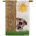thumbnail image 1 of Jack Russell Terrier Spring Summer Welcome House Flag Dog Hides Behind a Tree Sun Outside Yard Decor Flag Banner 28X40 Inch Double Side Style 1, 1 of 6