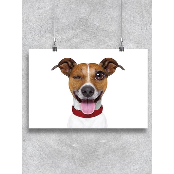 Jack Russell Terrier Winking Poster -Image by Shutterstock