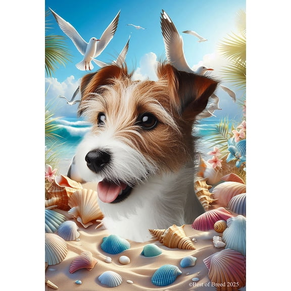 Jack Russell Wirehaired - Best of Breed Summer Beach Outdoor Garden Flag 12" x 17" Mailbox Flag Dog Flag