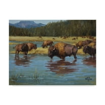 Jack Sorenson 'Buffalo Crossing' Canvas Art