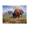 thumbnail image 1 of Jack Sorenson 'Family Outing' Canvas Art, 1 of 1