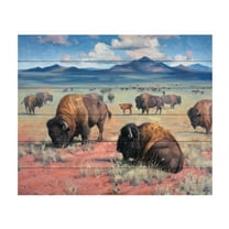Jack Sorenson 'Home On The Range' Wood Slat Art 18x22