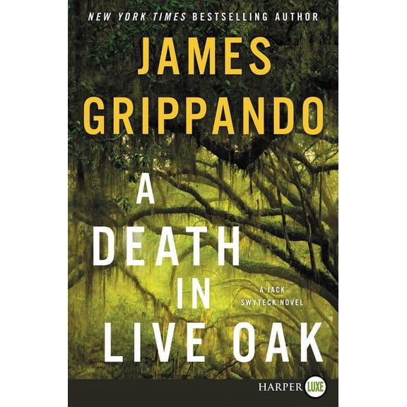 Jack Swyteck A Death in Live Oak: A Jack Swyteck Novel, Book 14, (Paperback)