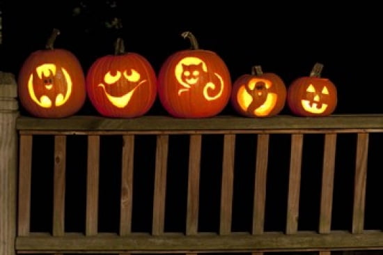 Jack o lanterns lit up at night Atlanta Georgia USA Canvas Art - Panoramic Images (36 x 24)