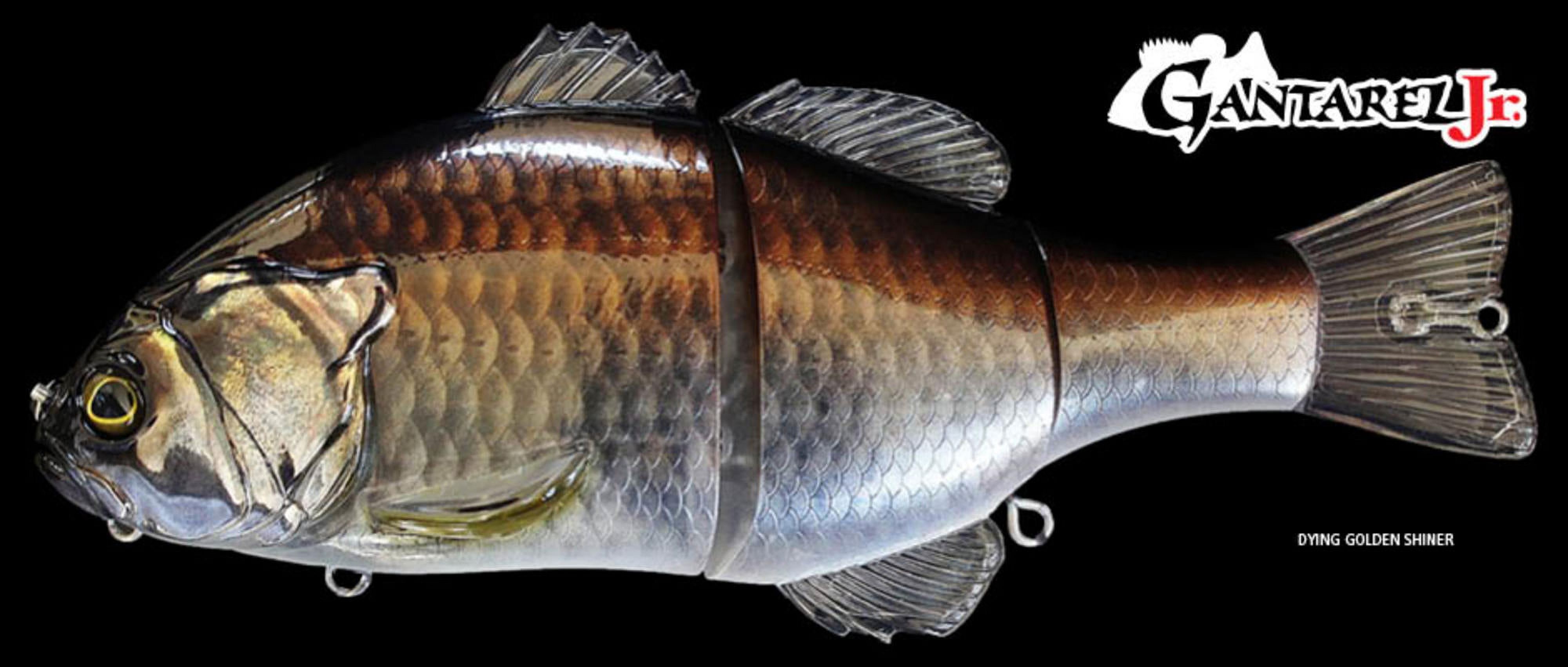 Jackall Fishing GANTAREL JR RT CARP Hard Swim Baits [JGANTJRRTC