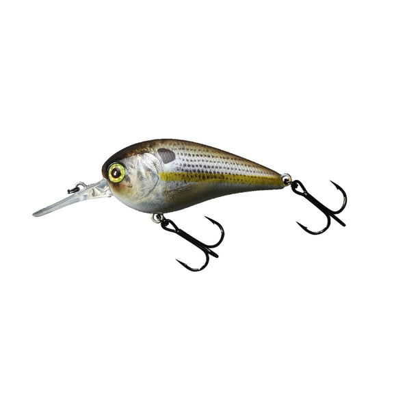Jackall Fishing MC60 SR RT CHAR SHAD Crankbaits [JMC60SR-RTCS]