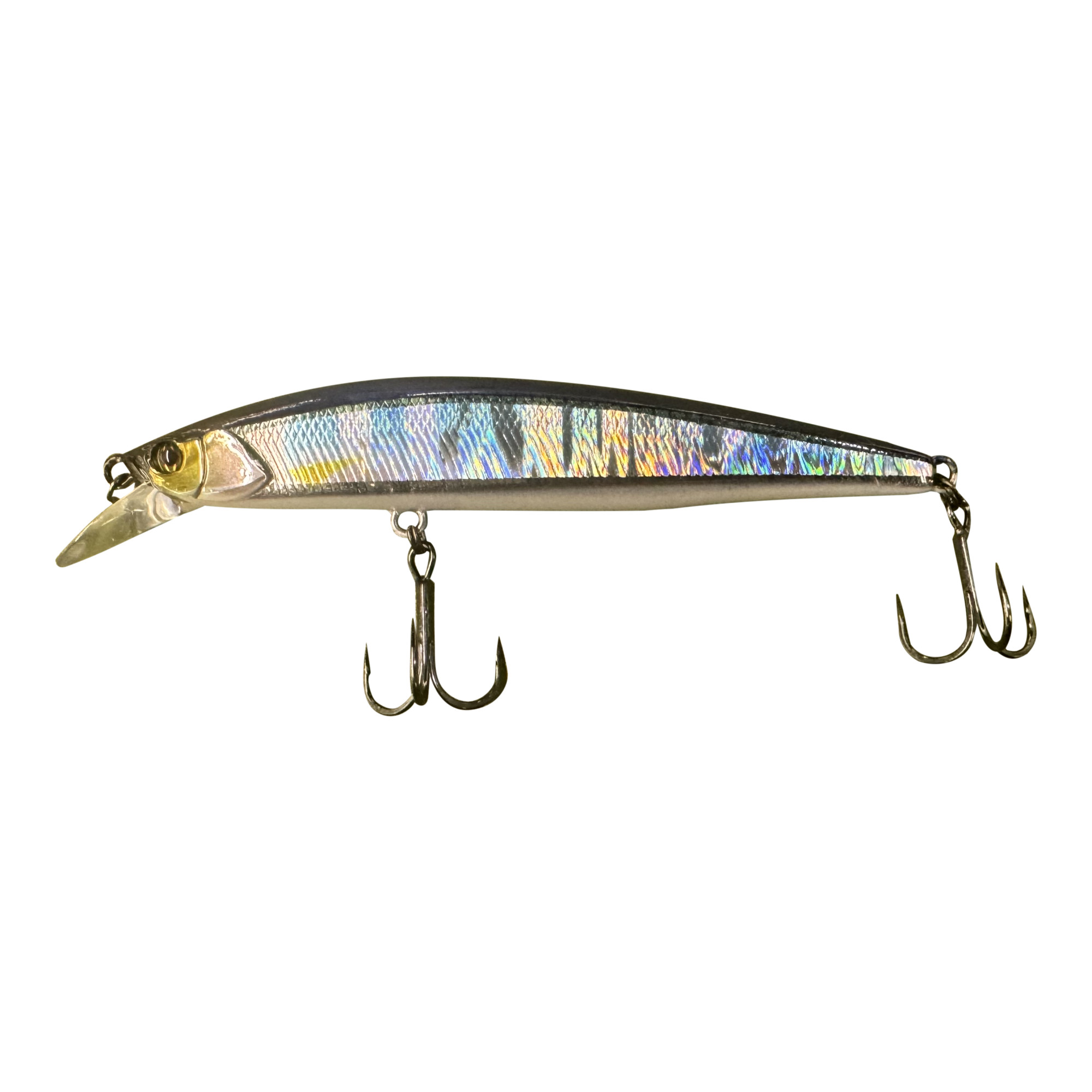 Jackall Fishing RERANGE 95 HL HASU Jerk Baits [JRERA95-HLHA]