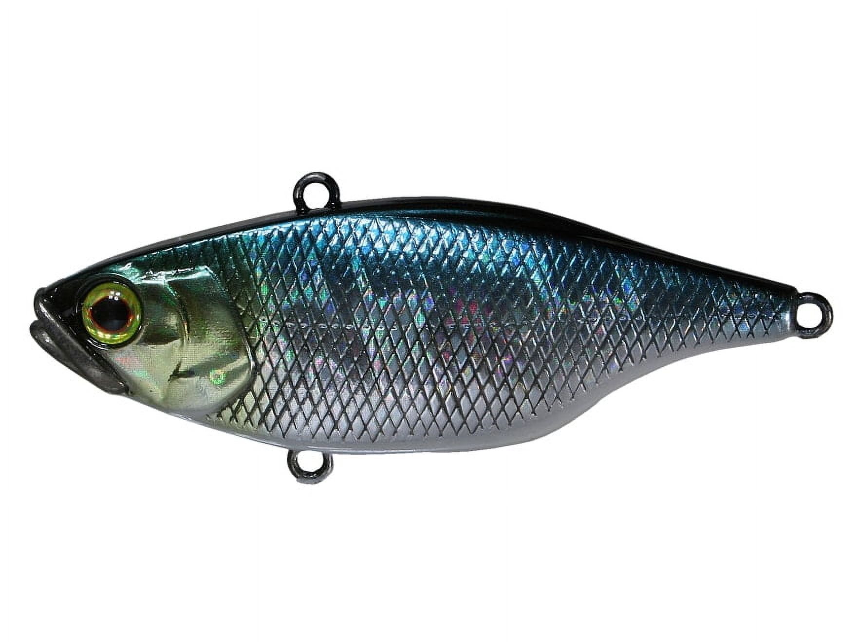 Jackall Fishing TN60 HL AURORA BLK Lipless Crank Baits [JTN60-HLAB]