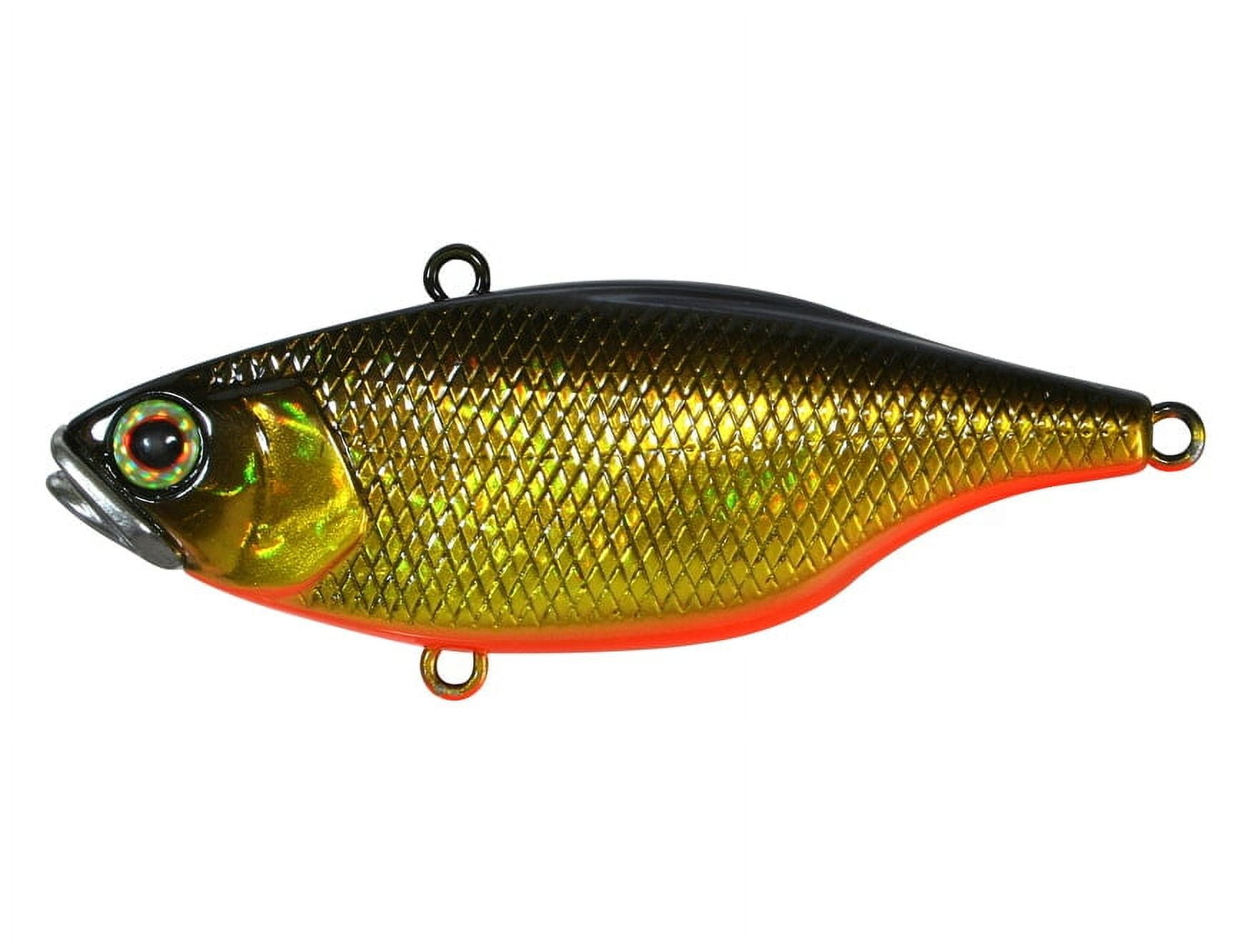 Jackall Fishing TN60 HL BLK GLD Lipless Crank Baits [JTN60-HLBG]