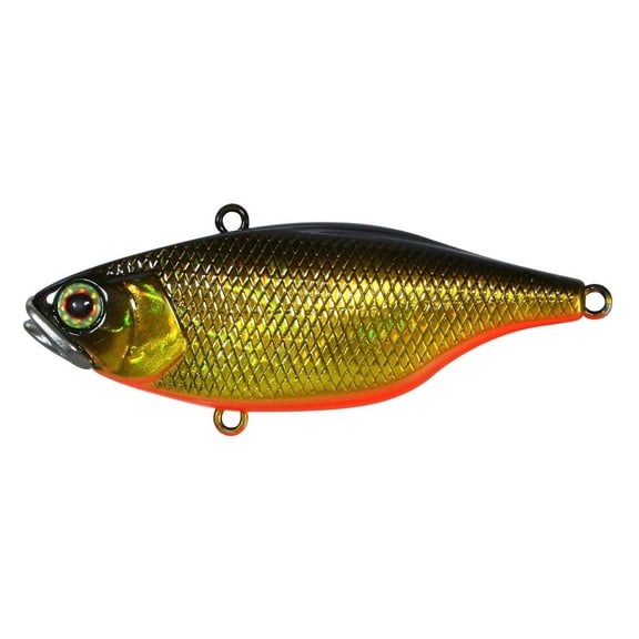 Jackall Fishing TN60 HL BLK GLD Lipless Crank Baits [JTN60-HLBG]