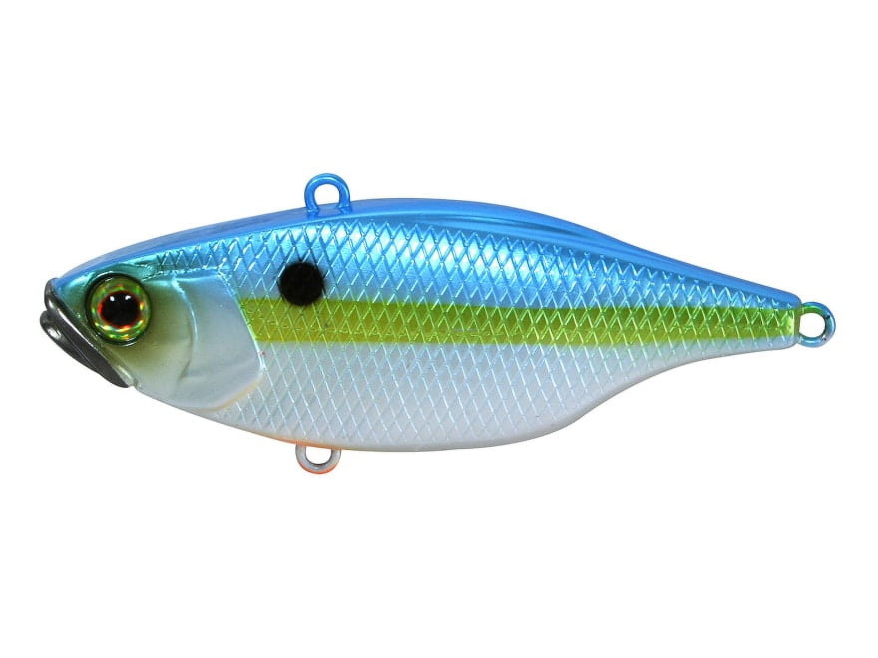Jackall Fishing TN60 SS SHAD Lipless Crank Baits [JTN60-SS]