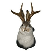 Jackalope Decor, Resin Hanging Wall Art Antler Rabbit Head Wall Decor, Simulation Rabbit Specimen Resin Art Ornaments for Home/Office 1PC