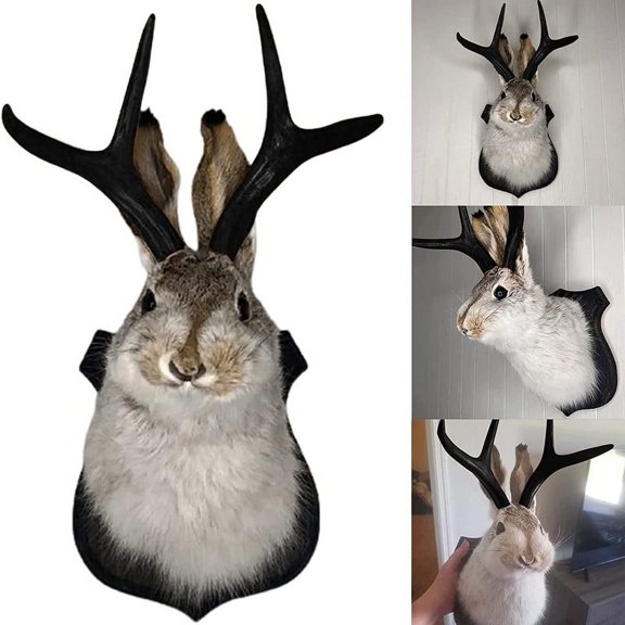 Jackalope Easter Rabbit Wall Decor The Latest Legend of antlers Resin Hanging Wall Art Animal Simulation Head Specimen Decoration