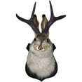 thumbnail image 1 of Jackalope Head Wall Decor, Faux Taxidermy Animal Mount With Antlers, For Living Room, Bedroom, Office, Rustic Home Wall Art Decorations, 1 of 8