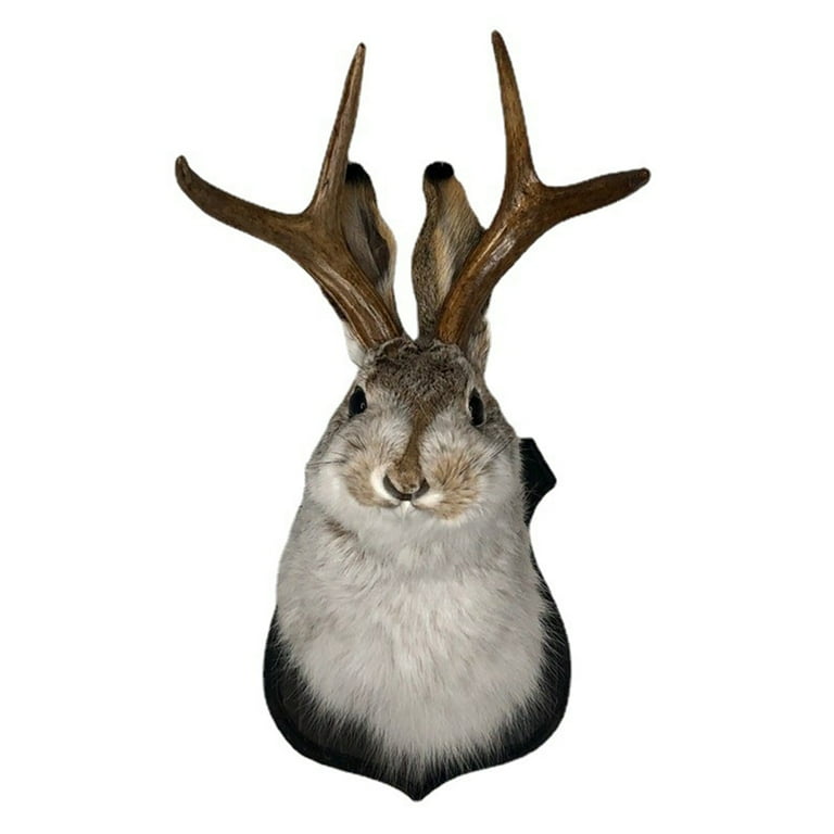 Stuffed jackalope store