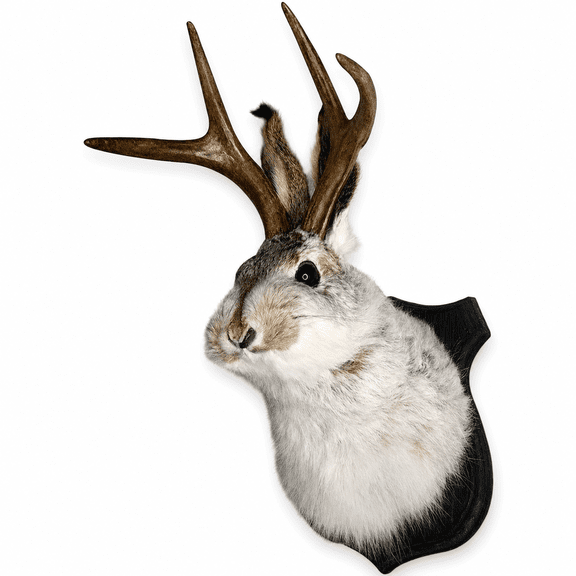 Jackalope Mount Taxidermy Deer Head Wall Art Home Decoration