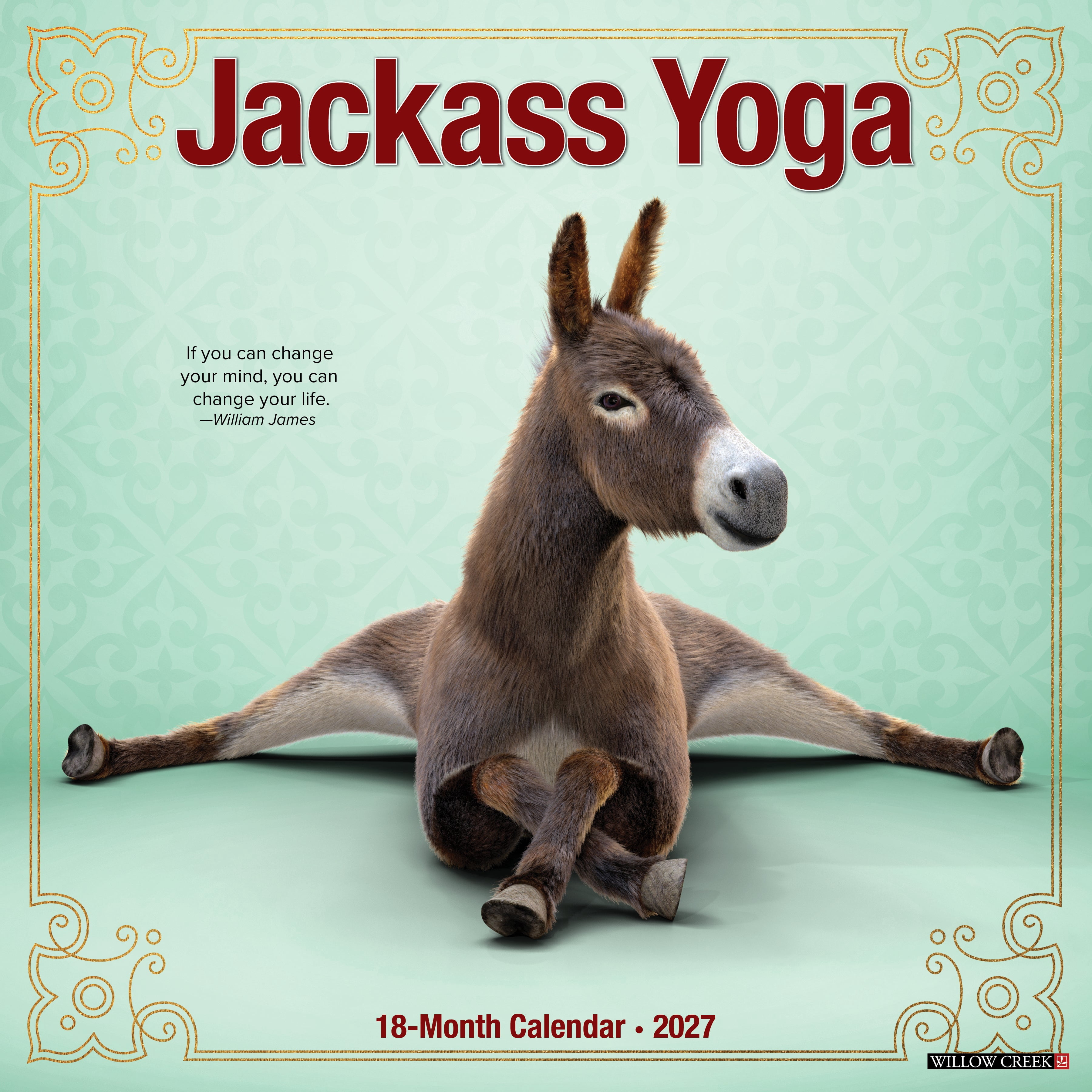 Willow Creek Press, Jackass Yoga 2027 Wall Calendar