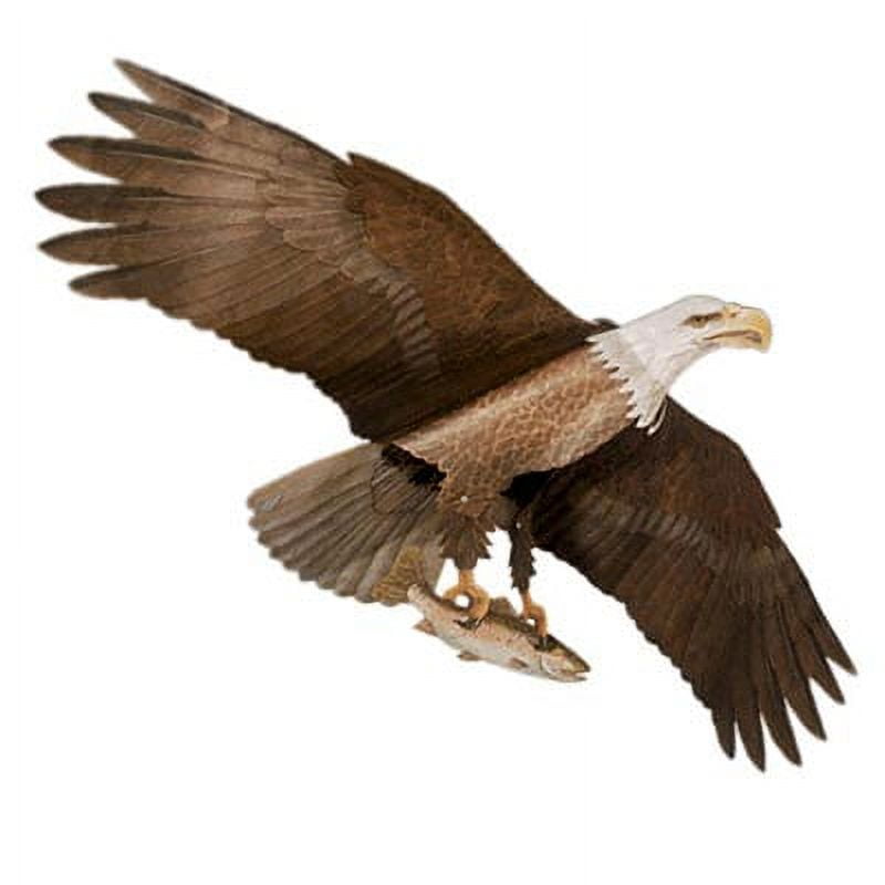 Jackite American Bald Eagle Kite with 60" Wingspan