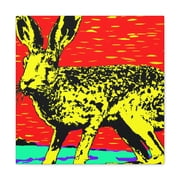 Jackrabbit Pop Art - Canvas
