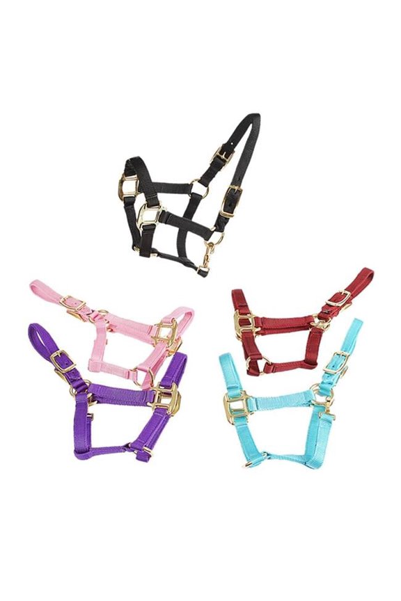1823-LB-L Deluxe Mini Halter, Light Blue - Large