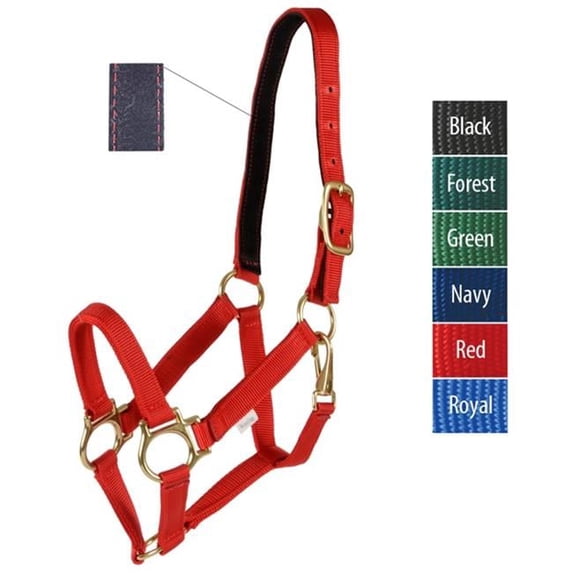 Jacks 3300-GN-6 Track Halter, Green - Cob