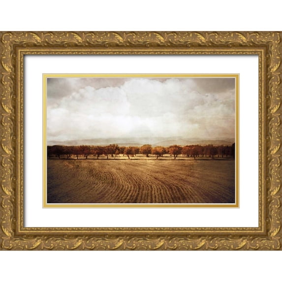 Jacks, Heather 14x11 Gold Ornate Wood Framed with Double Matting Museum Art Print Titled - The Olive Grove