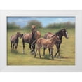 thumbnail image 1 of Jackson 32x24 White Modern Wood Framed Museum Art Print Titled - Running Horses, 1 of 4