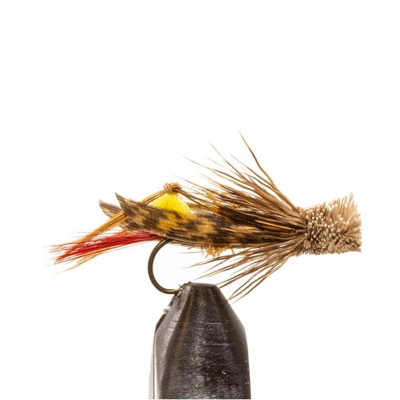 Jackson Cardinal #10 Dave's Hopper