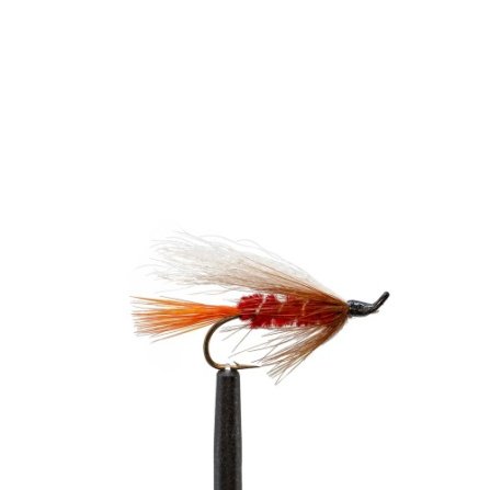 Jackson Cardinal #6 Thor