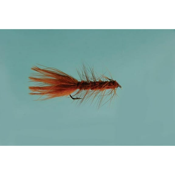Jackson Cardinal Brown Wooly Bugger #8