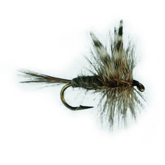 Jackson Cardinal Flies Adams