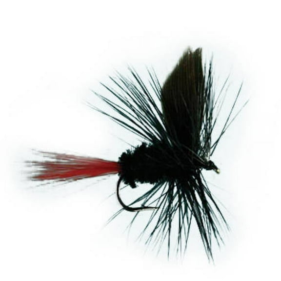 Jackson Cardinal Flies Black Gnat-red Tai