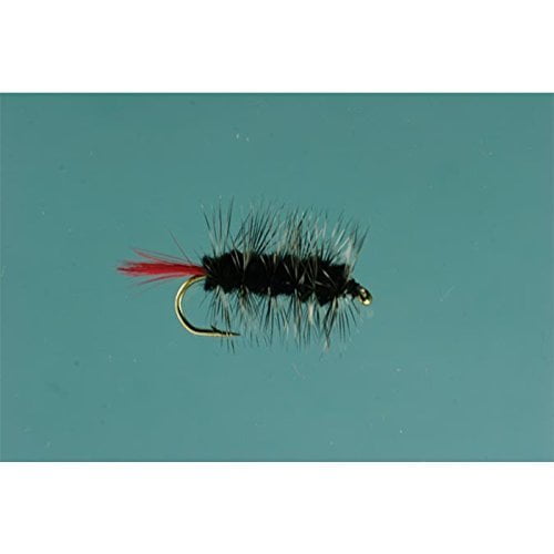 Jackson Cardinal Flies Black Wooly Worm