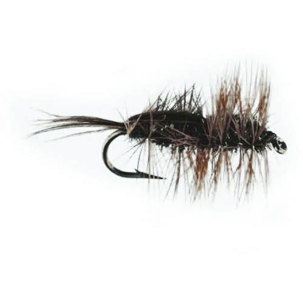 Jackson Cardinal Flies Halfback