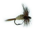 thumbnail image 1 of Jackson Cardinal Flies Irrestible, 1 of 1