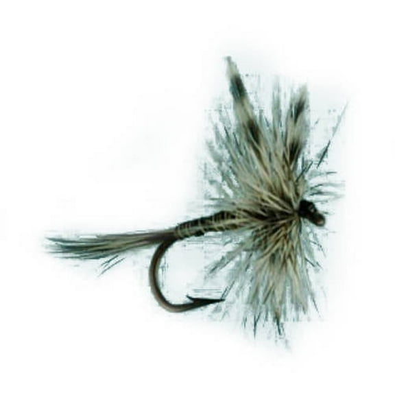 Jackson Cardinal Flies Mosquito