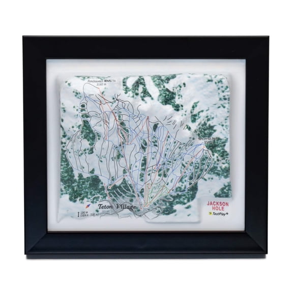 Jackson Hole Ski Resort 3D Raised Relief Map
