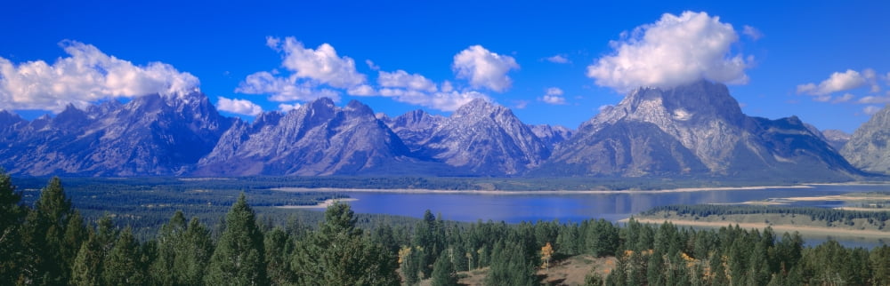 Jackson Lake and Grand Tetons Grand Teton National Park Wyoming Canvas Art - Panoramic Images (27 x 9)