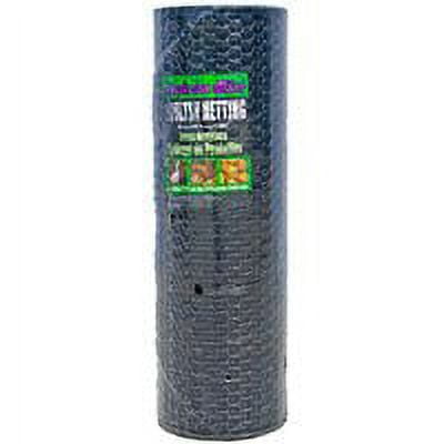 Jackson Wire 12 01 45 29 Poultry Hex Netting 1 in Mesh 150 ft L 36 in W 20 ga