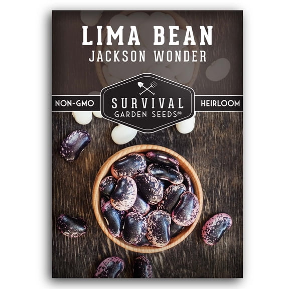 Jackson Wonder Lima Bean Seeds - Heirloom Full Sun Annual Vegetable - 1 Pack