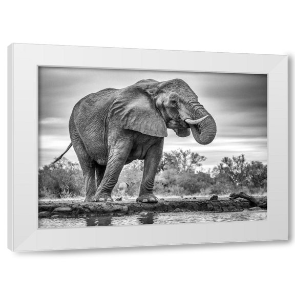 Jaco Marx 4x14 White Modern Wood Framed Wall Art Titled - Standing Proud