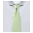 thumbnail image 1 of Jacob Alexander Boy's 11" Pretied Ready Made Solid Color Zipper Tie - Honeydew, 1 of 7