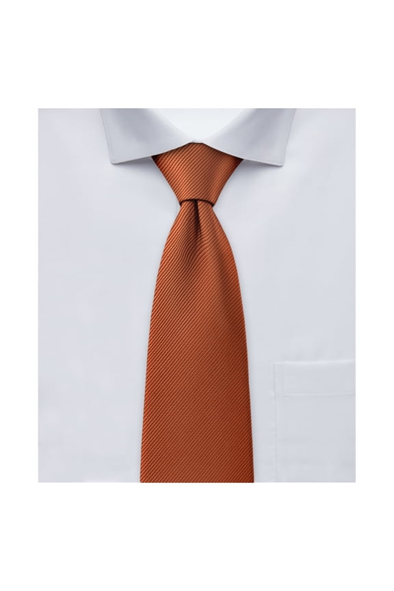 Men's Silk Blend Solid Color Regular Length Classic Neck Tie - Rust