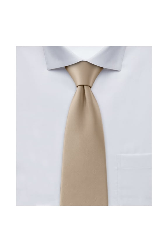 Men's Solid Color Regular Length Neck Tie - Tan
