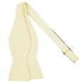 thumbnail image 1 of Jacob Alexander Men's Woven Subtle Mini Squares Traditional Freestyle Self-Tie Bow Tie - Champagne, 1 of 6
