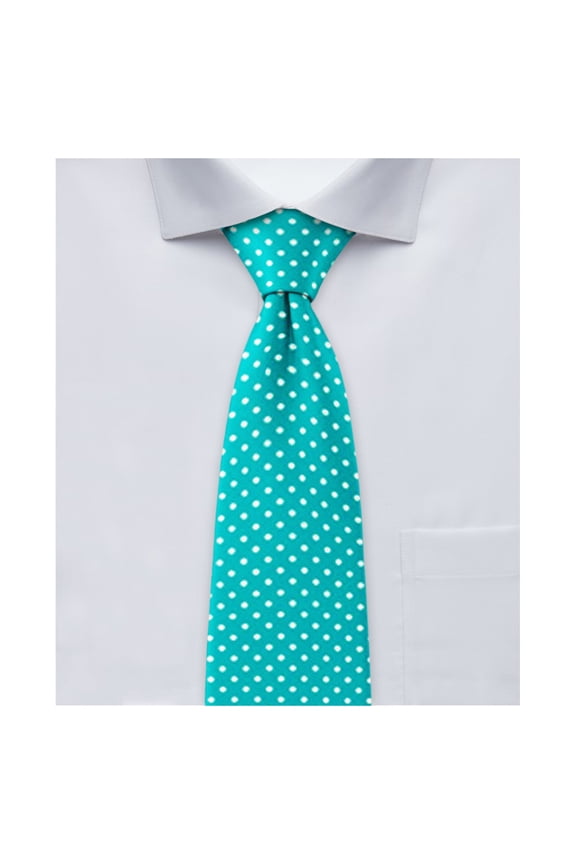 Boys' 14 inch Polka Dot Print Pre-Tied Zipper Neck Tie - Teal