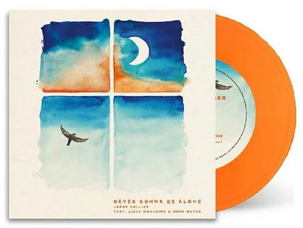 Jacob Collier - Never Gonna Be Alone - Music & Performance - Vinyl [7